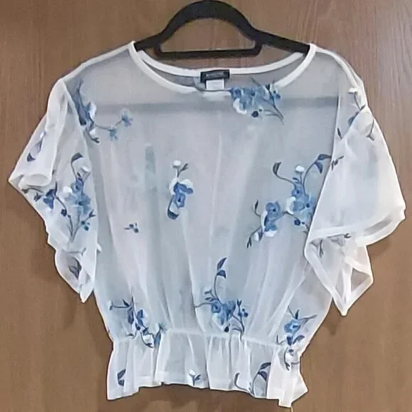 Kimcine Sheer Embroidered Top - Picture 1 of 5
